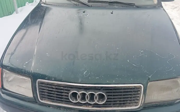 Audi 100 1993 годаүшін1 600 000 тг. в Алматы