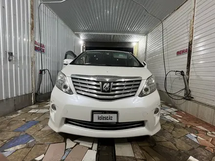 Toyota Alphard 2010 года за 7 500 000 тг. в Кызылорда – фото 13