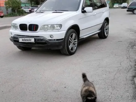 BMW X5 2003 года за 5 200 000 тг. в Алматы – фото 19