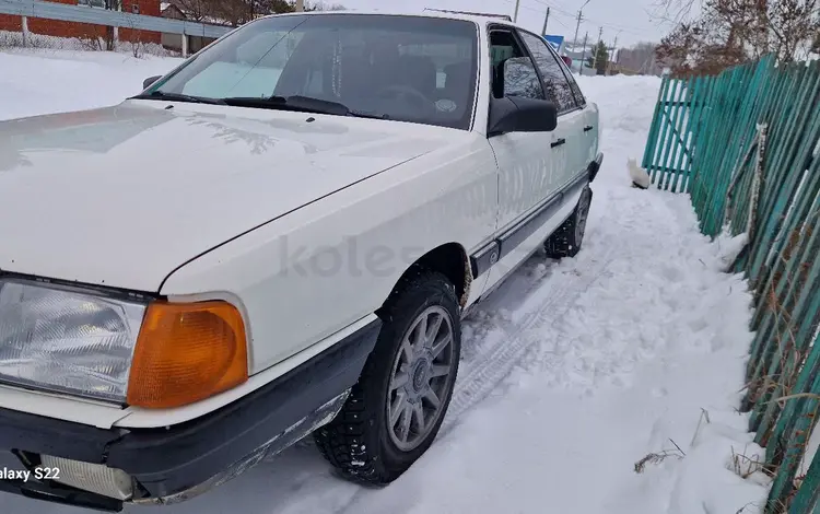 Audi 100 1986 годаfor1 000 000 тг. в Бишкуль