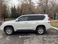 Toyota Land Cruiser Prado 2009 годаfor16 500 000 тг. в Караганда – фото 3