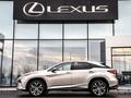 Lexus RX 300 Executive 2020 года за 24 500 000 тг. в Шымкент – фото 3