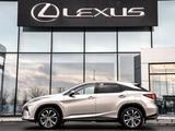 Lexus RX 300 Executive 2020 года за 24 500 000 тг. в Шымкент – фото 3
