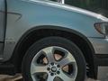 BMW X5 2001 годаүшін4 500 000 тг. в Шымкент – фото 8