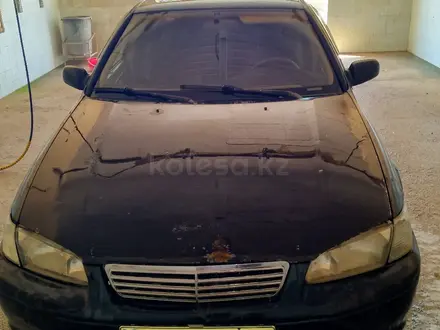 Toyota Camry 1999 года за 2 500 000 тг. в Актау