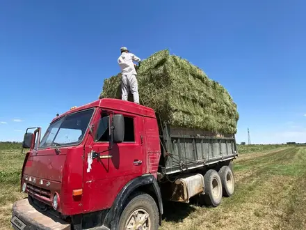 КамАЗ 1989 года за 3 300 000 тг. в Шу – фото 2