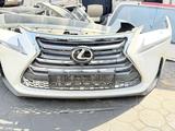 Ноускат NX за 300 000 тг. в Караганда