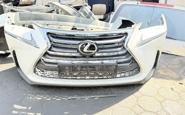 Ноускат NX за 300 000 тг. в Караганда