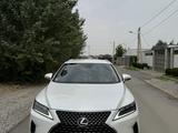 Lexus RX 300 2020 годаүшін24 000 000 тг. в Шымкент – фото 2