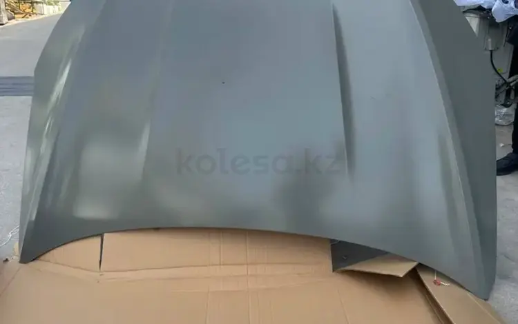 Капотүшін1 000 тг. в Костанай