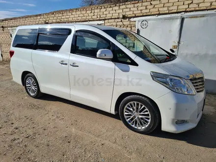 Toyota Alphard 2010 года за 14 200 000 тг. в Байконыр