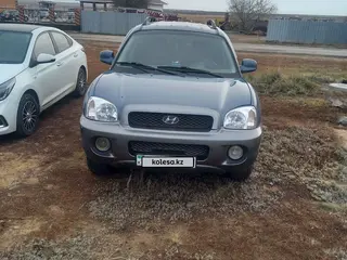 Hyundai Santa FE, 2002