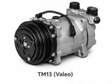 Компрессоры Sanden/Valeo TM для рефрижераторов и автокондиционеров. Алматыүшін180 000 тг. в Алматы