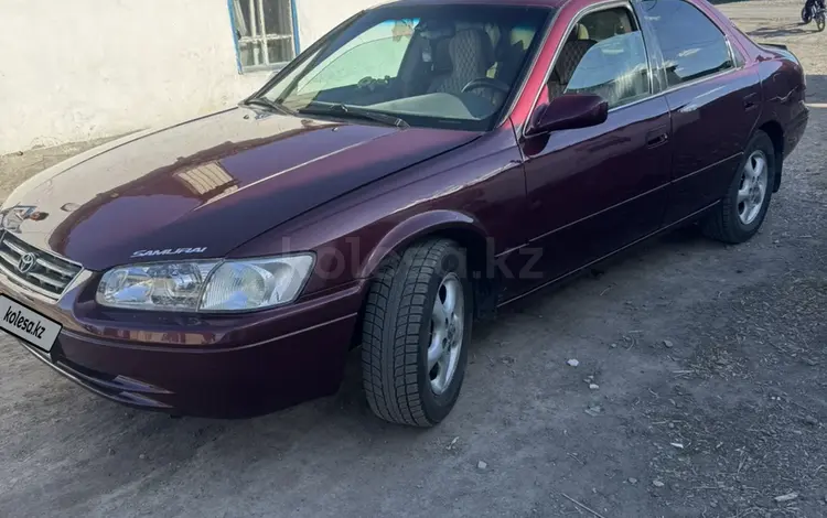 Toyota Camry 1997 года за 2 800 000 тг. в Семей