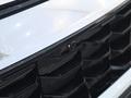 Kia Sportage Style 2025 года за 15 990 000 тг. в Шымкент – фото 17