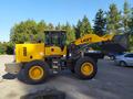 XCMG  ФРОНТАЛЬНЫЙ ПОГРУЗЧИК XCMG LW300FN LW 300 FN 1.8КУБ 3ТОНН 92KW 125ЛС 2022 года за 14 990 000 тг. в Алматы – фото 17