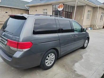 Honda Odyssey 2010 года за 7 500 000 тг. в Шымкент – фото 2