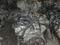 Двигатель на Camry30, 40, 50, 2Az, 1Gr на Prado 120, 4Runner, Fortuner. за 650 000 тг. в Алматы