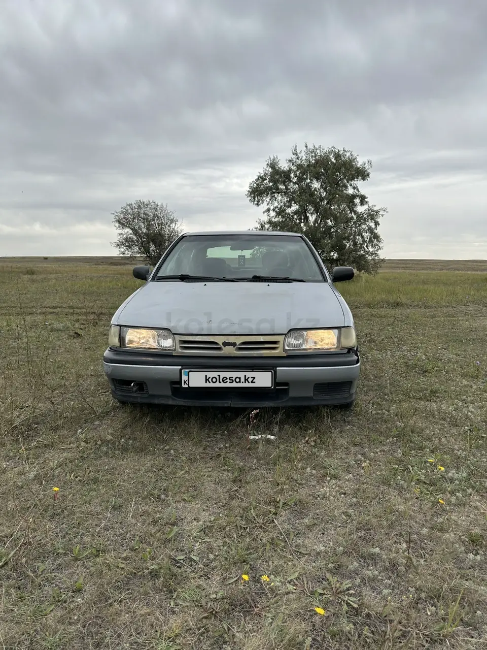 Nissan Primera, 1991