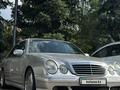 Mercedes-Benz E 55 AMG 2001 годаүшін11 000 000 тг. в Алматы – фото 11