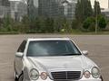 Mercedes-Benz E 55 AMG 2001 годаүшін11 000 000 тг. в Алматы – фото 14