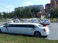 Лимузин на выписку с роддома лимузин на день рождения в Темиртау – фото 31