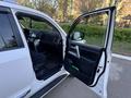 Toyota Land Cruiser 2012 годаүшін22 500 000 тг. в Караганда – фото 27
