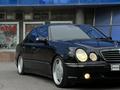 Mercedes-Benz E 55 AMG 2001 годаfor7 500 000 тг. в Астана – фото 12