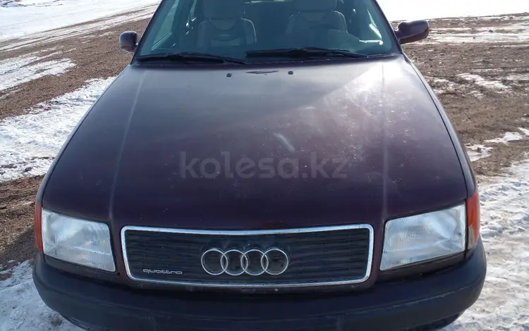 Audi 100 1991 года за 1 800 000 тг. в Астраханка