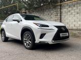 Lexus NX 300 2018 года за 17 800 000 тг. в Алматы