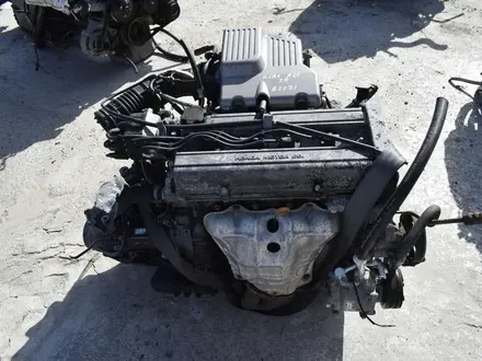 Двигатель на Honda CRV RD1 2.0 за 99 090 тг. в Шымкент