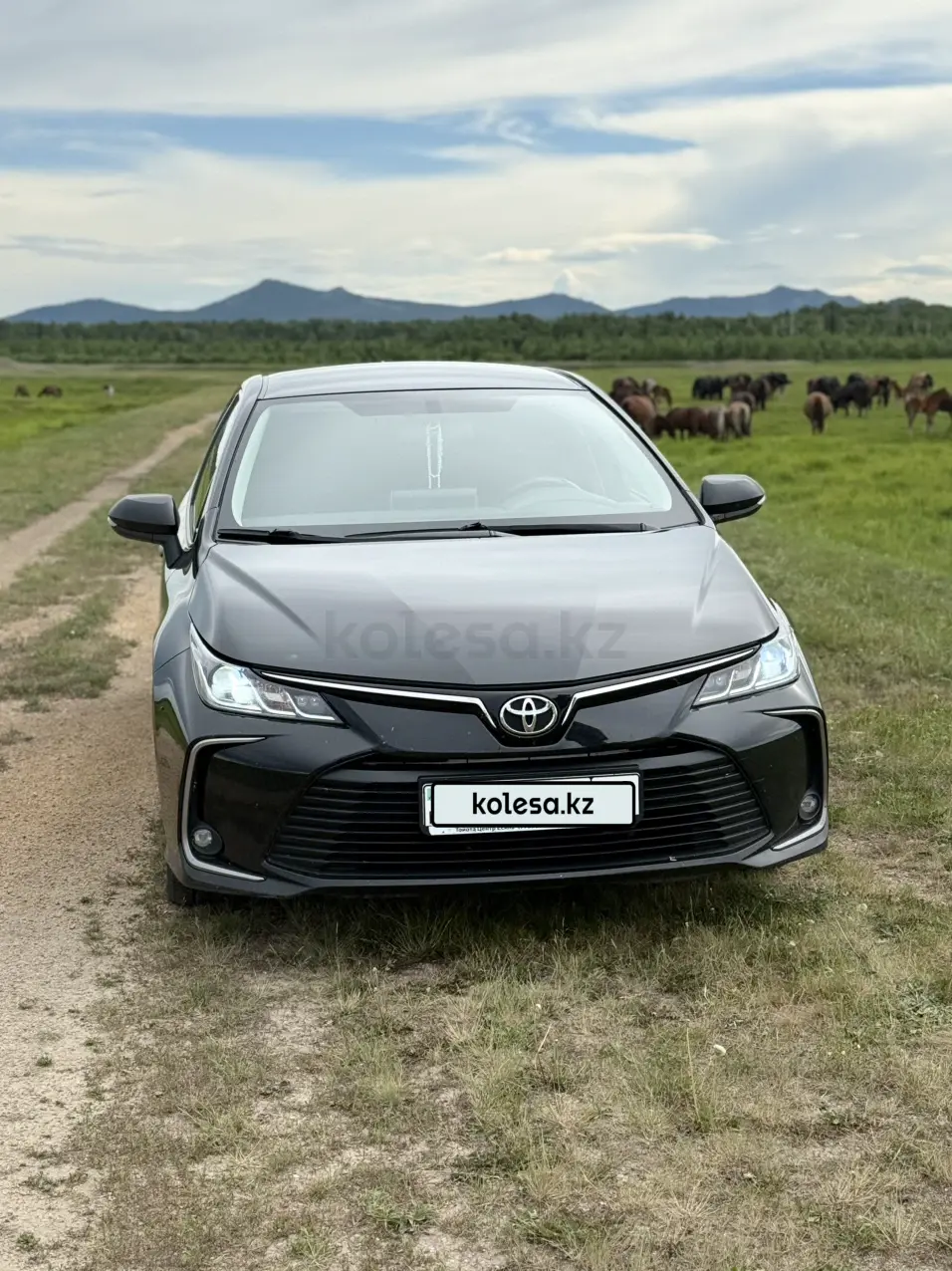 Toyota Corolla, 2021