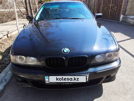 BMW 528 1996 года за 3 300 000 тг. в Панфилово (Талгарский р-н) – фото 19