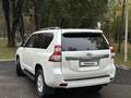 Toyota Land Cruiser Prado 2014 годаfor15 700 000 тг. в Алматы – фото 8