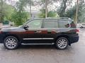 Lexus LX 570 2014 года за 26 000 000 тг. в Павлодар – фото 4