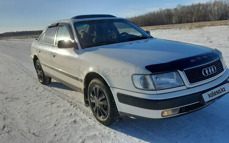 Audi 100 1991 годаүшін2 650 000 тг. в Петропавловск