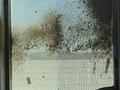 MAN 1994 года за 3 200 000 тг. в Тараз – фото 13