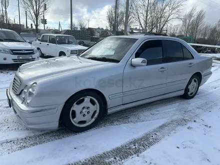 Mercedes-Benz E 240 1999 года за 3 270 000 тг. в Кокшетау – фото 2