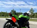 Kawasaki  Ninja 250R 2009 года за 2 400 000 тг. в Астана – фото 7