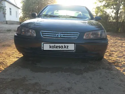 Toyota Camry 2001 года за 2 800 000 тг. в Шардара