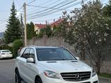 Mercedes-Benz ML 350 2013 года за 16 300 000 тг. в Алматы – фото 5
