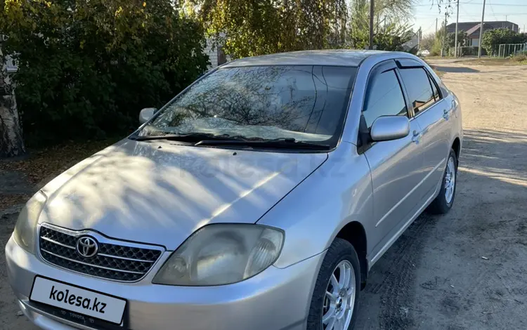 Toyota Corolla 2002 года за 3 500 000 тг. в Семей