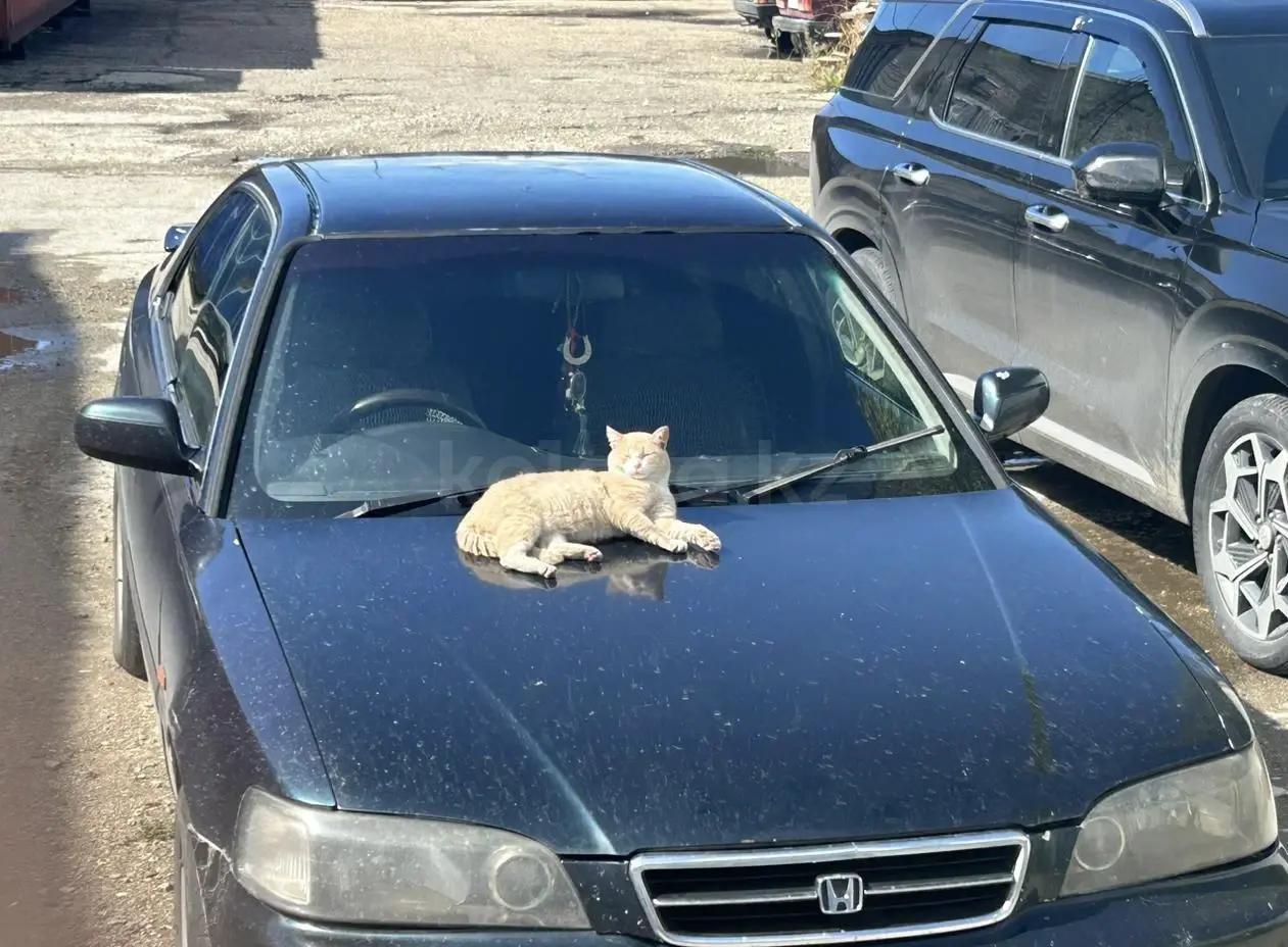Honda Saber, 1995