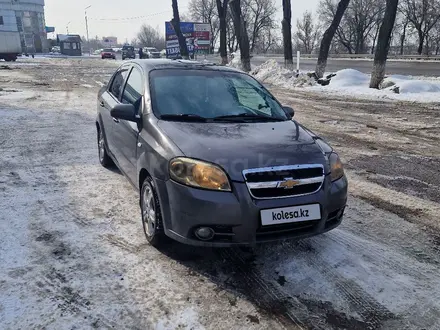 Chevrolet Aveo 2013 года за 1 700 000 тг. в Алматы