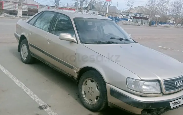 Audi 100 1994 годаүшін1 900 000 тг. в Акколь (Аккольский р-н)