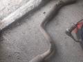 Выхлопная труба на Каризму за 15 000 тг. в Караганда – фото 2