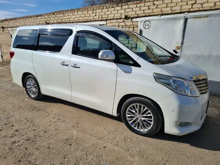 Toyota Alphard 2010 года за 14 000 000 тг. в Байконыр