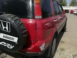 Honda CR-V 1999 годаүшін3 000 000 тг. в Жезказган – фото 3