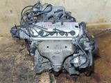 Двигатель F23A F23A5 Без VTECa 2.3 Honda Accord CF CG Хонда Аккорд за 380 000 тг. в Караганда