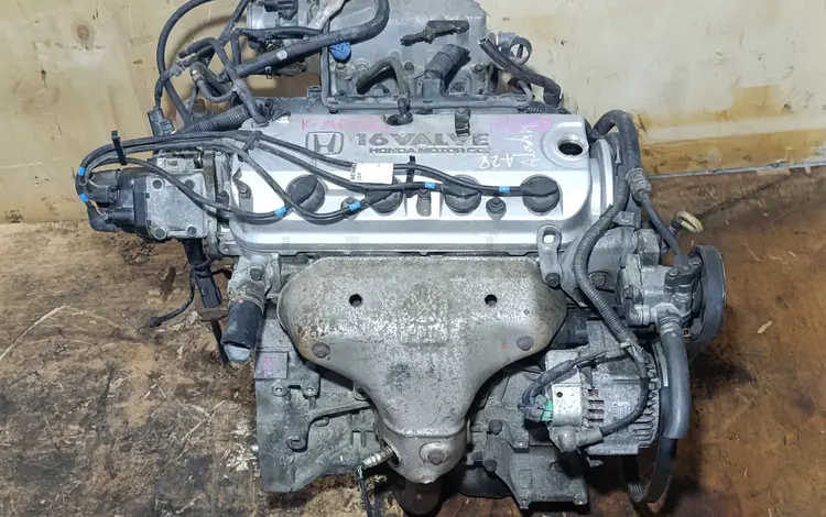 Двигатель F23A F23A5 Без VTECa 2.3 Honda Accord CF CG Хонда Аккорд за 380 000 тг. в Караганда